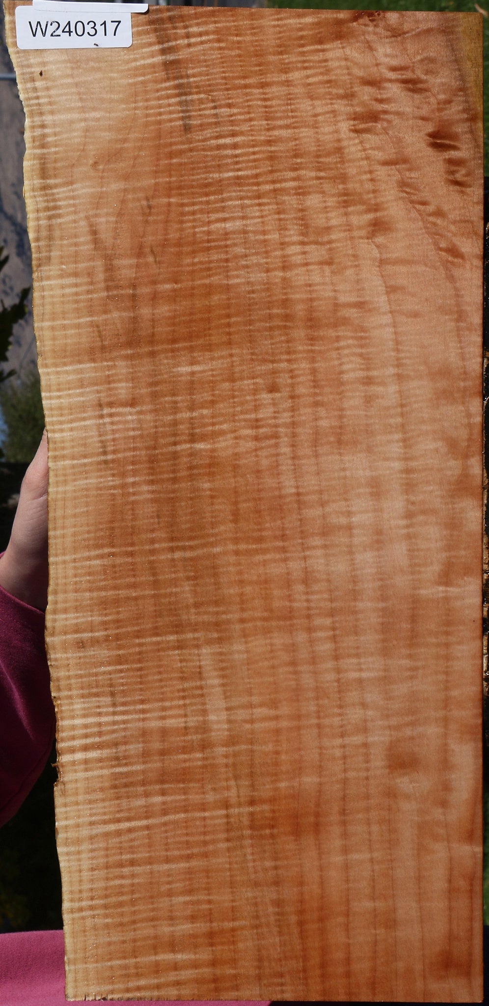 Extra Fancy Maple Live Edge Lumber