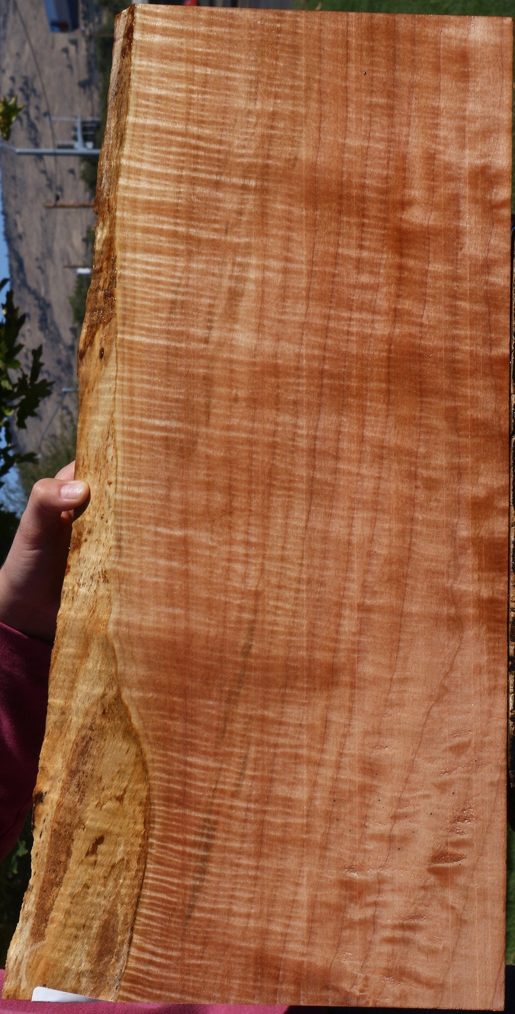 Extra Fancy Maple Live Edge Lumber