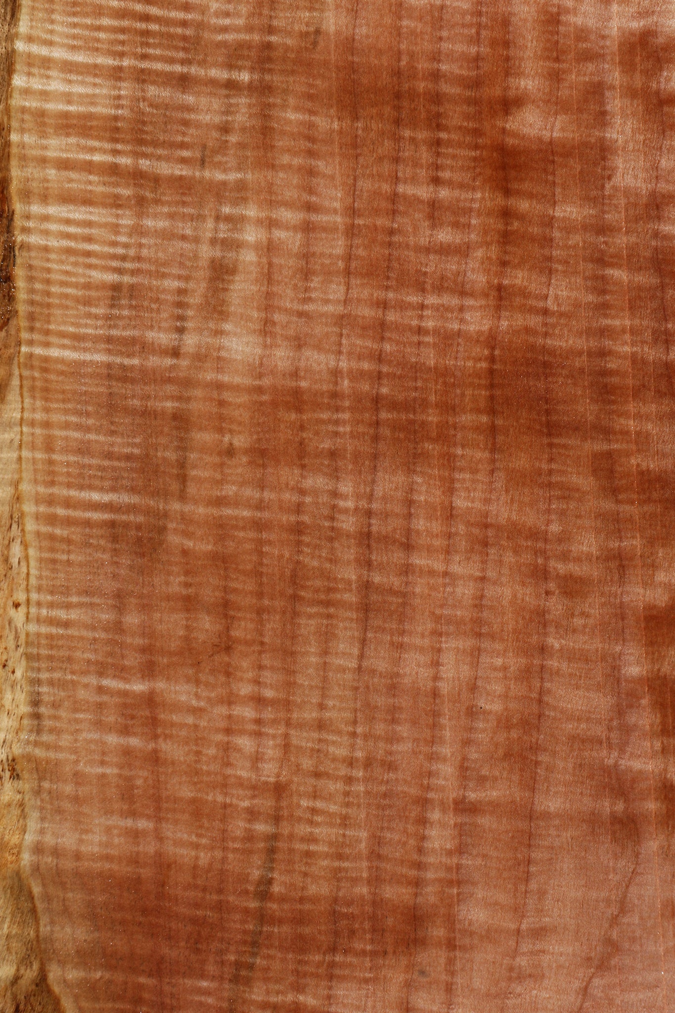 Extra Fancy Maple Live Edge Lumber