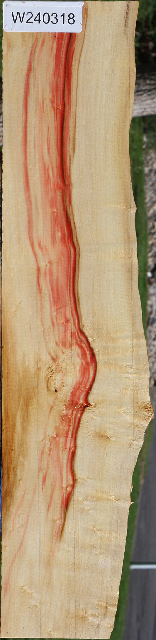 Figured Box Elder Live Edge Lumber