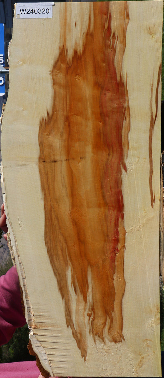 Extra Fancy Box Elder Live Edge Lumber