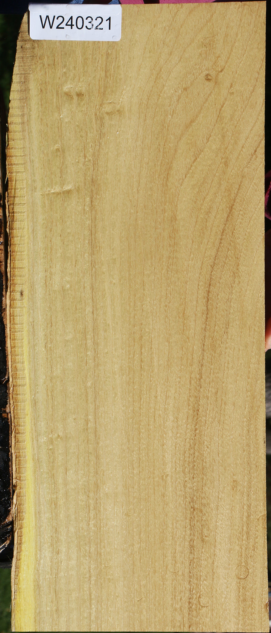 Honey Locust Live Edge Lumber