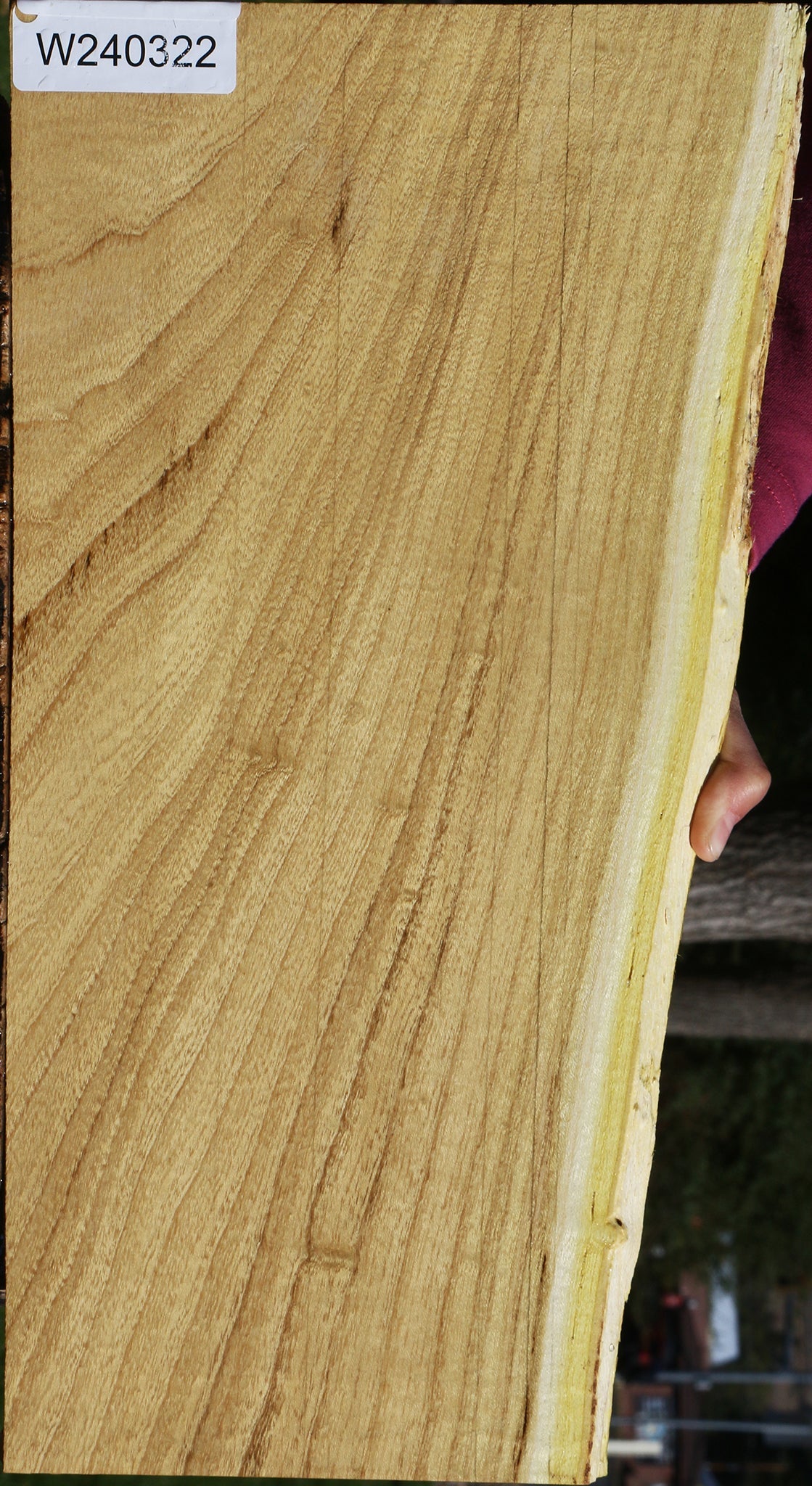 Honey Locust Live Edge Micro Lumber