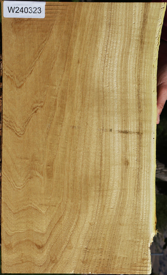 Honey Locust Live Edge Micro Lumber