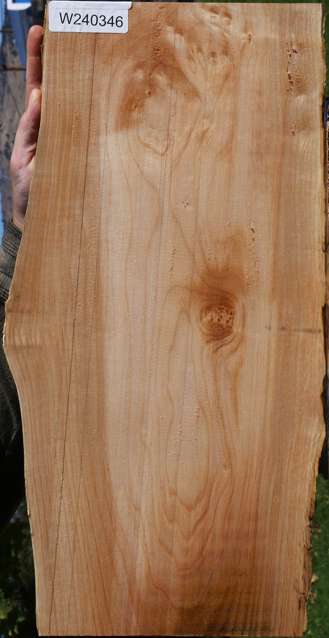 Extra Fancy Maple Live Edge Lumber