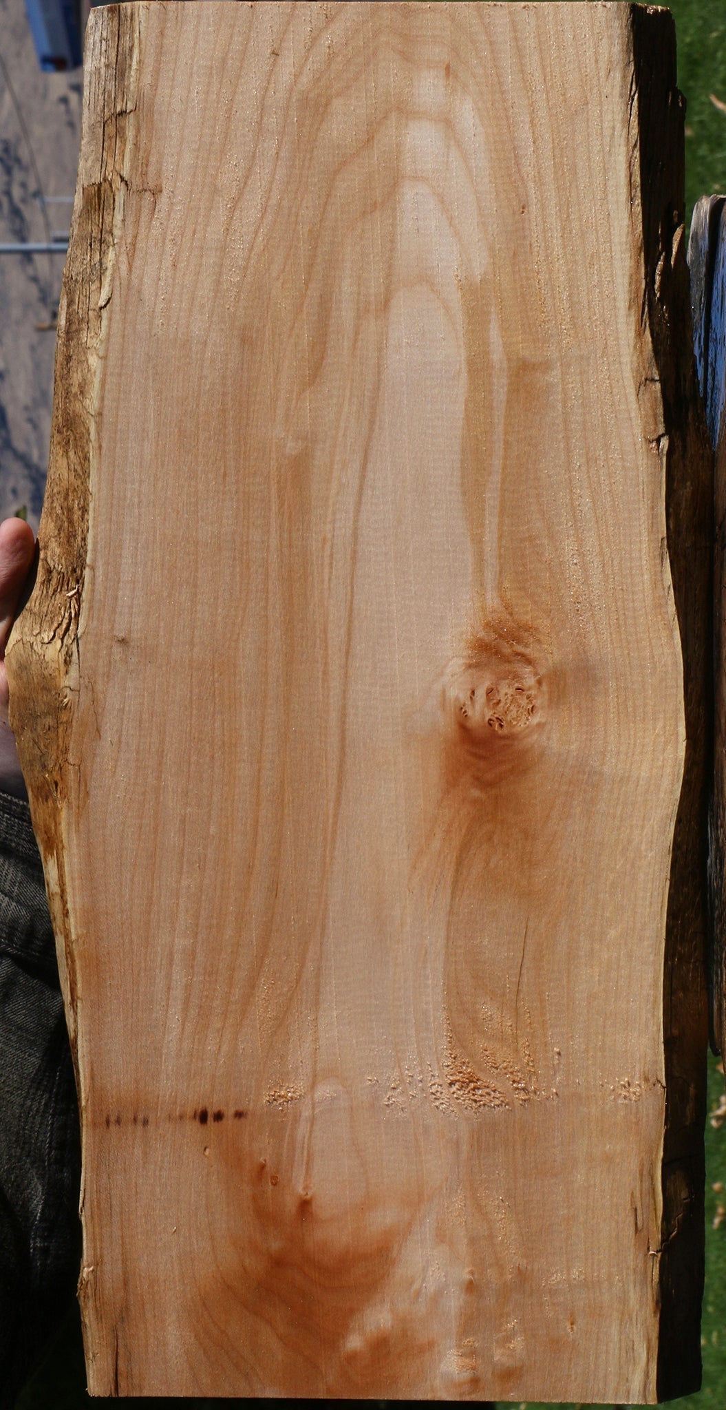 Extra Fancy Maple Live Edge Lumber