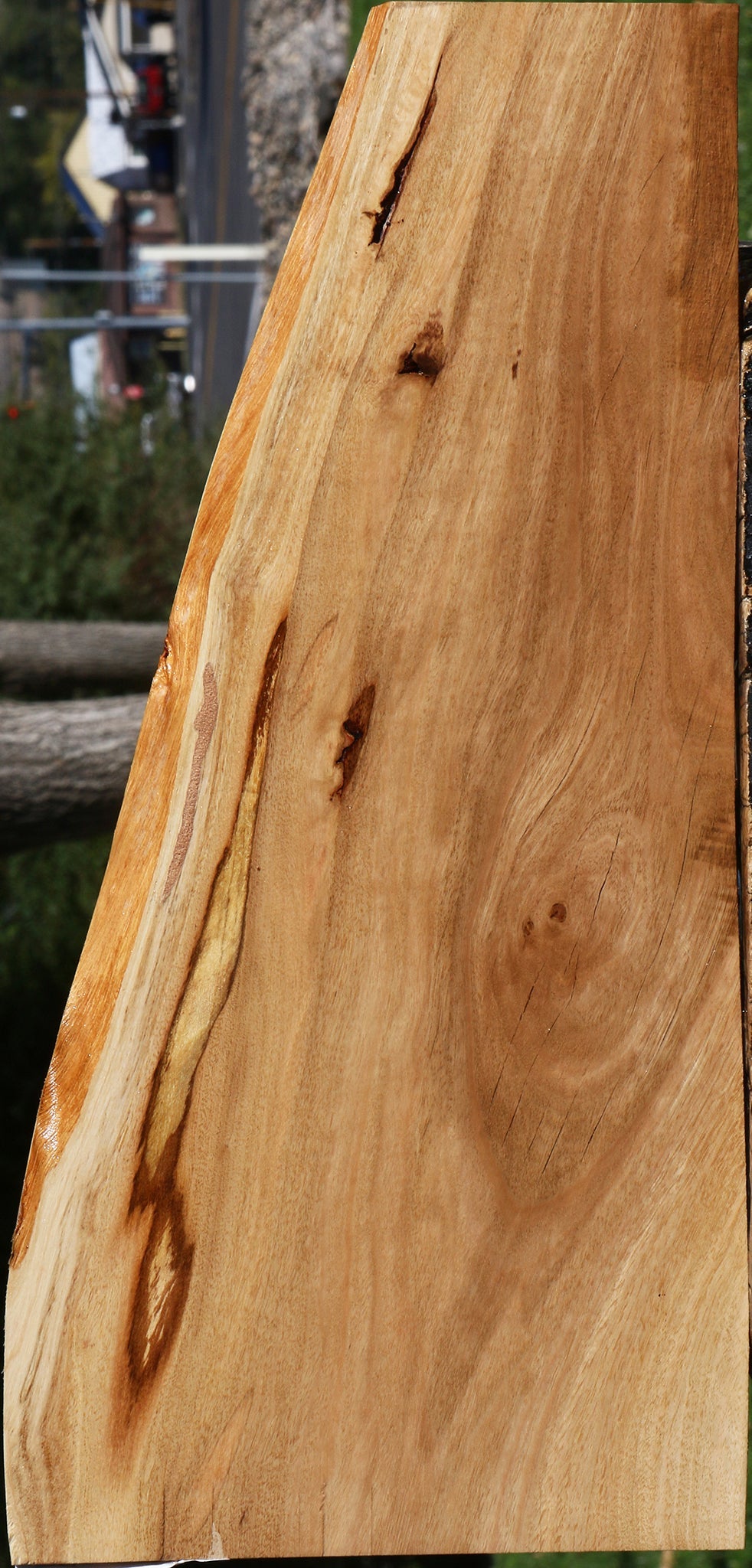 Eucalyptus Live Edge Lumber