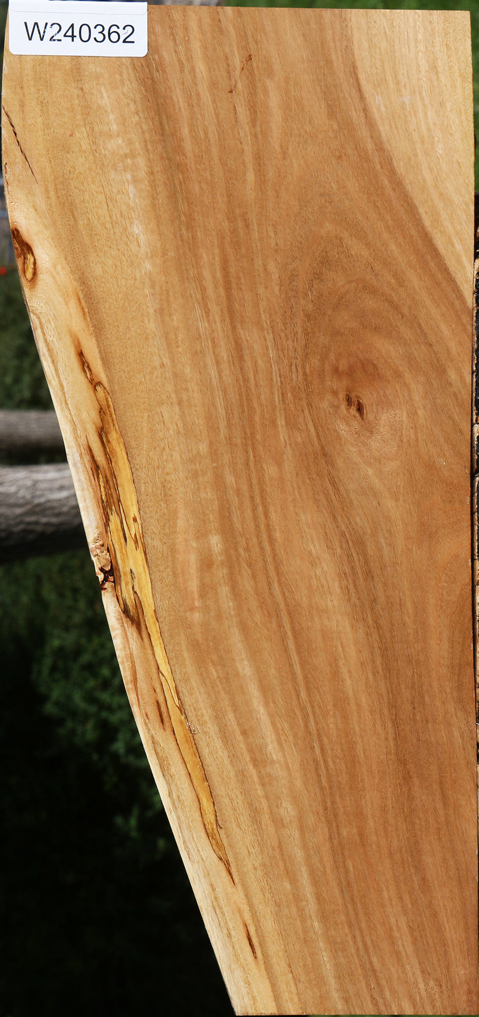 Eucalyptus Live Edge Lumber