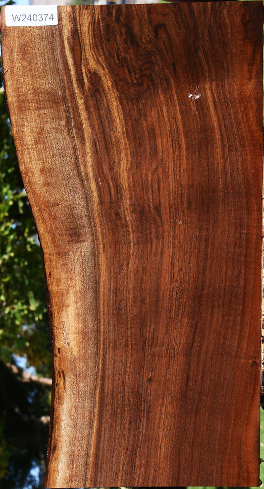 Extra Fancy Claro Walnut Live Edge Lumber
