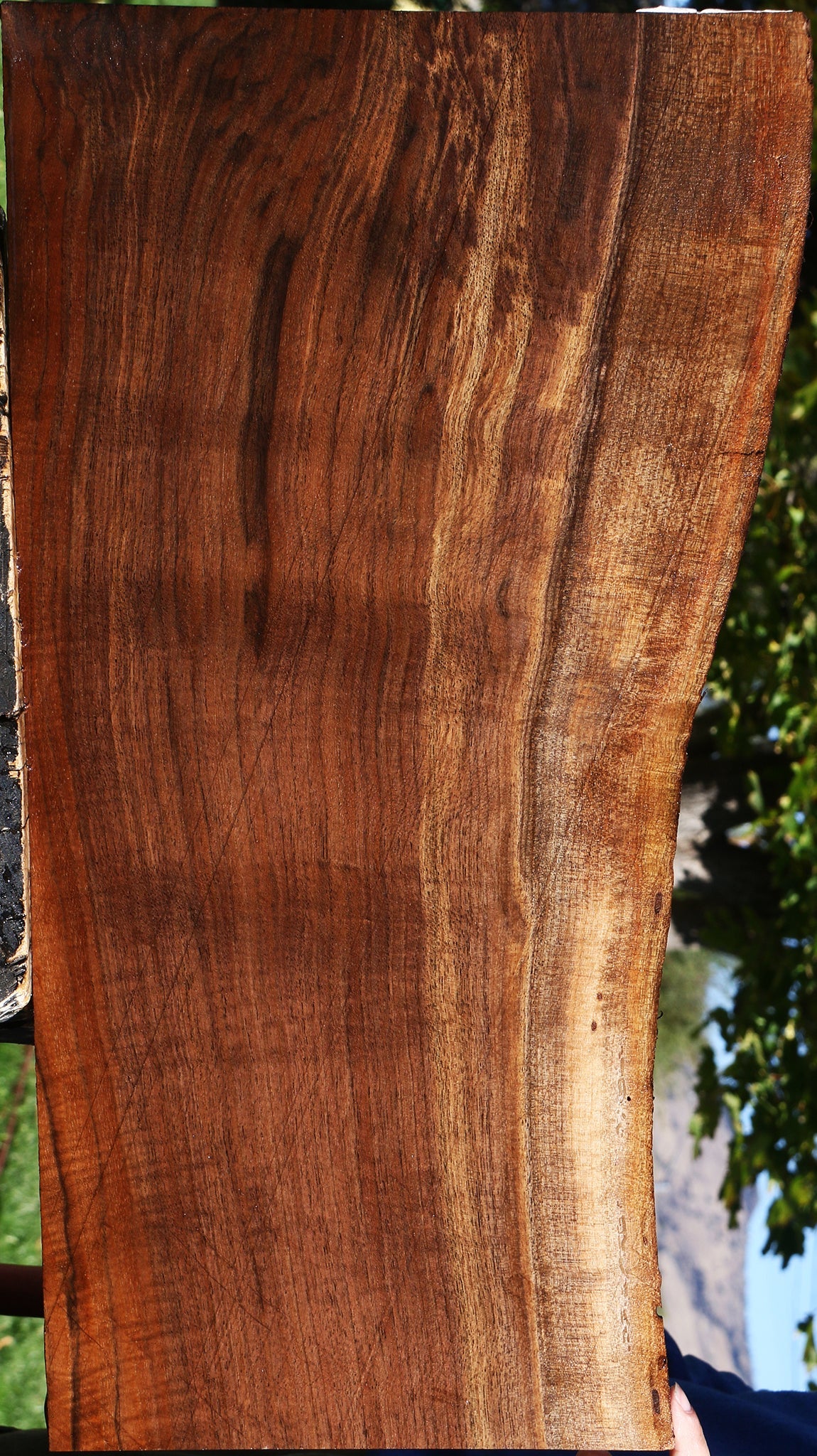 Extra Fancy Claro Walnut Live Edge Lumber