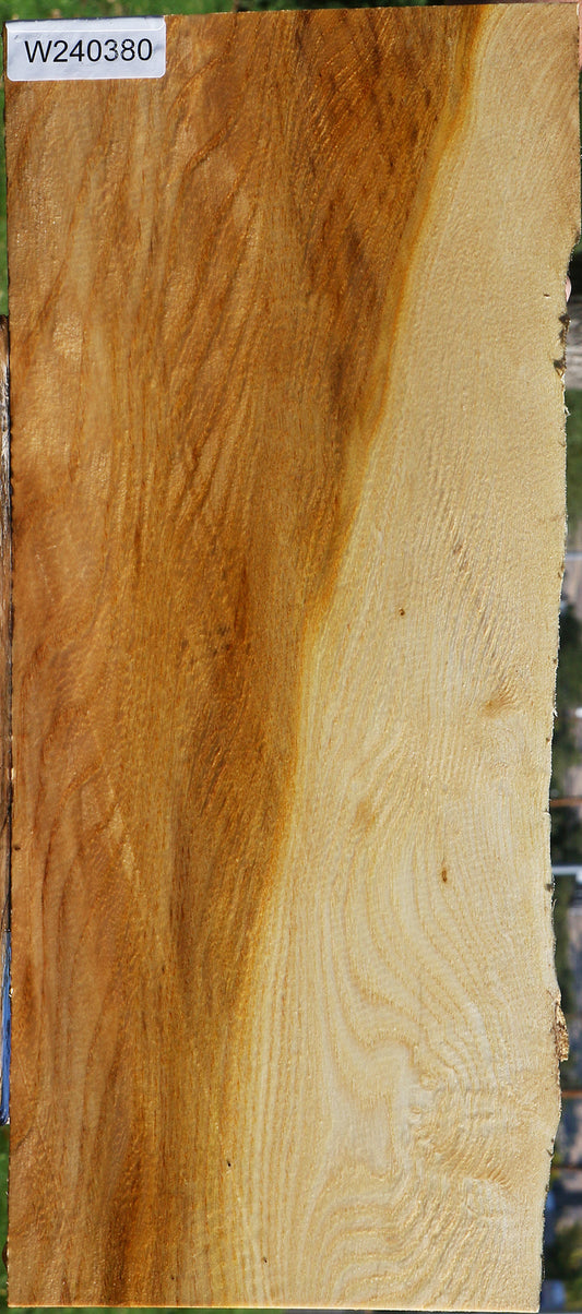 Honey Locust Live Edge Lumber