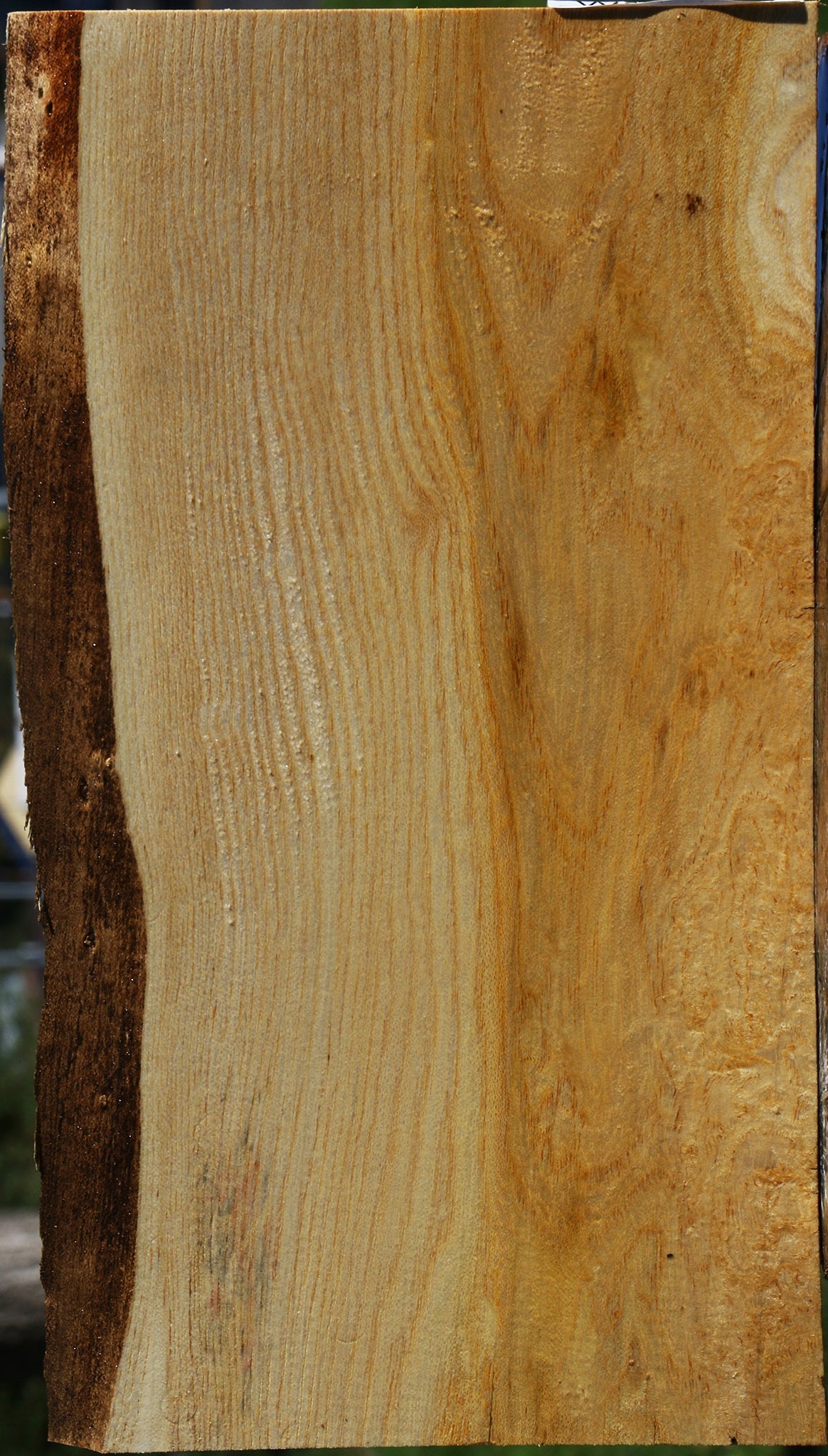 Honey Locust Live Edge Lumber