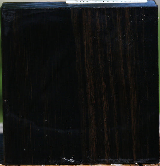 Gabon Ebony Bowl Blank