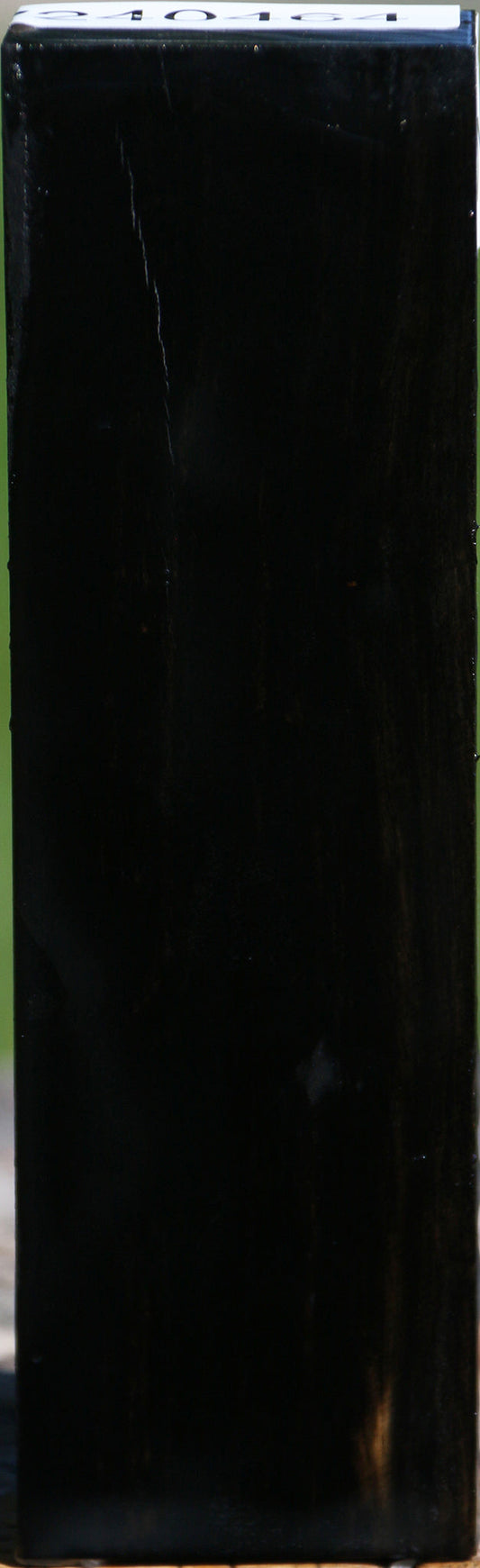 Gabon Ebony Turning Blank