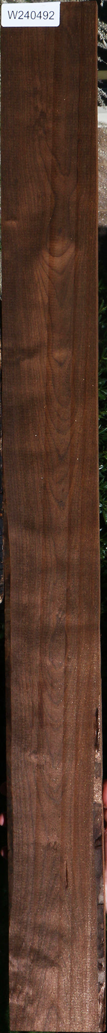 Curly Caramelized Birch Lumber