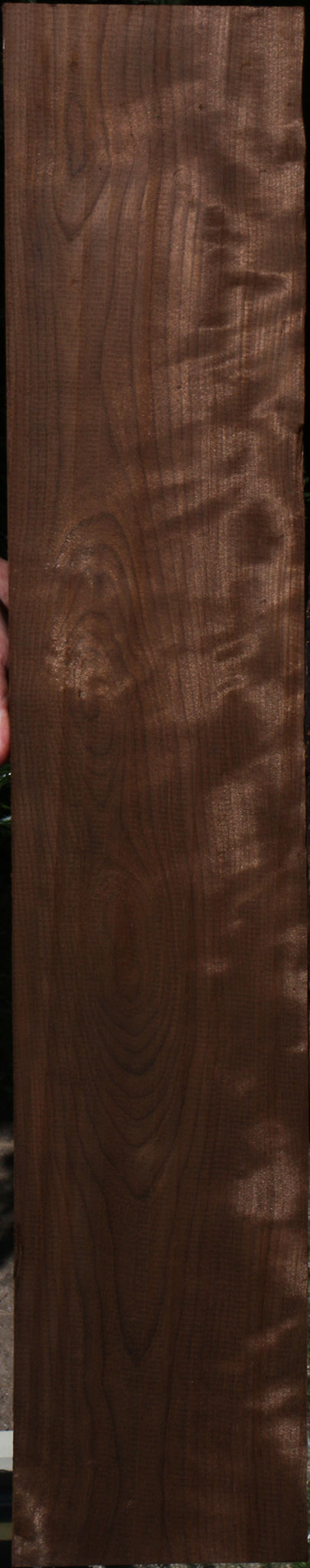 Curly Caramelized Birch Lumber