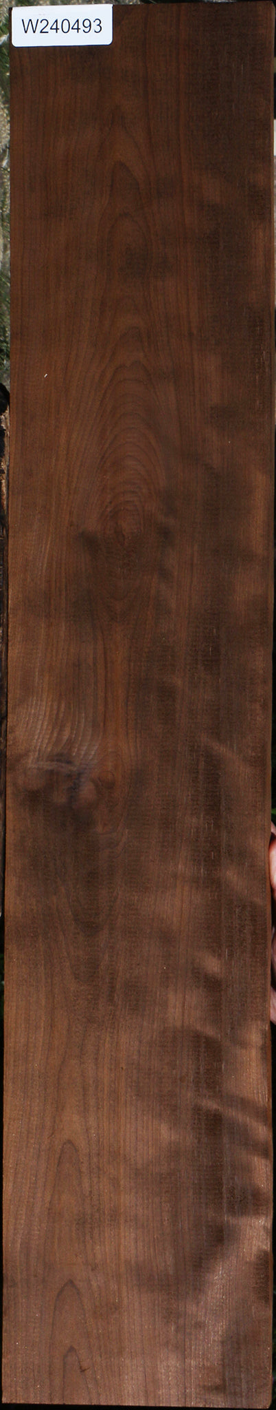 Curly Caramelized Birch Lumber