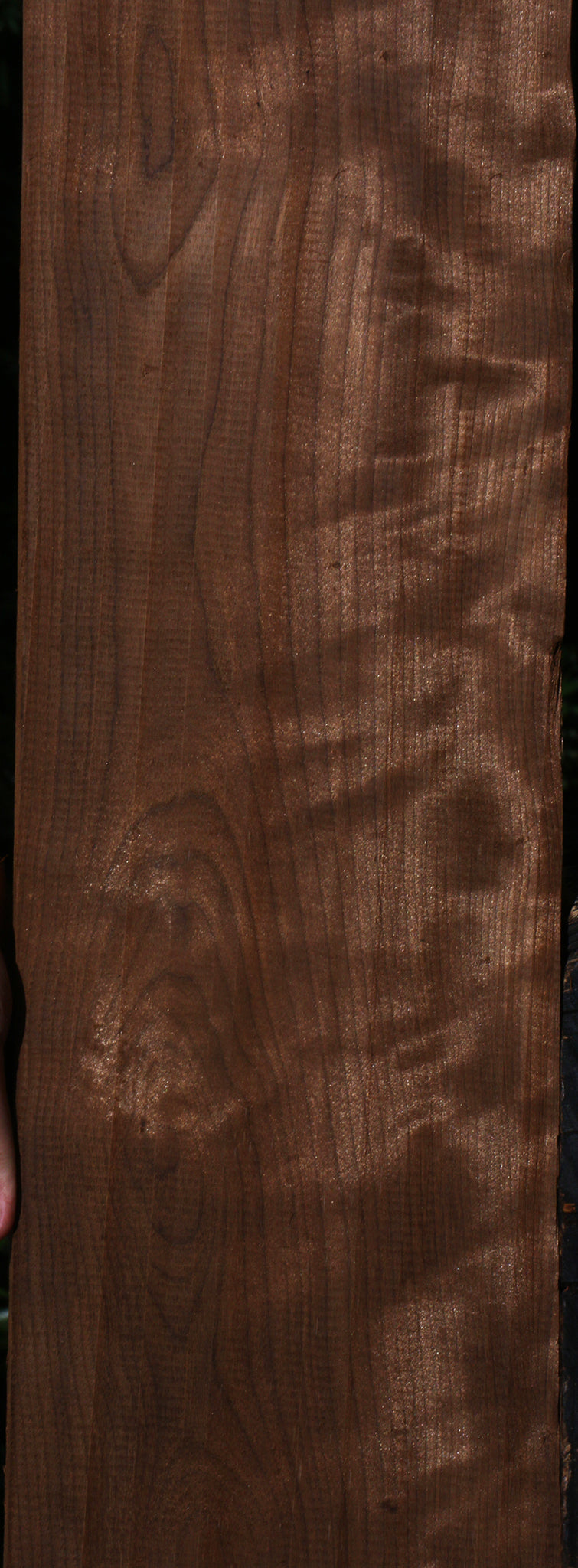 Curly Caramelized Birch Lumber