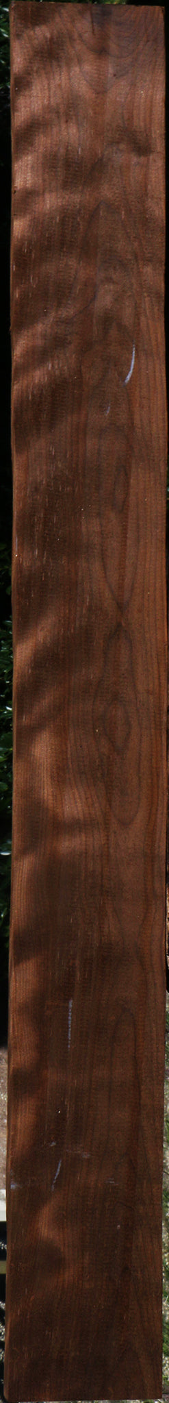 Curly Caramelized Birch Lumber