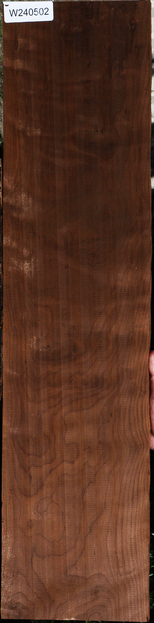 Extra Fancy Curly Caramelized Birch Lumber