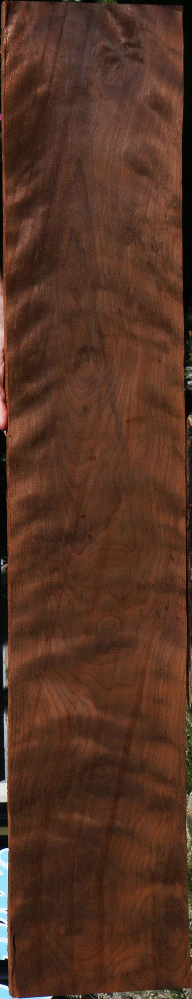 Extra Fancy Curly Caramelized Birch Lumber