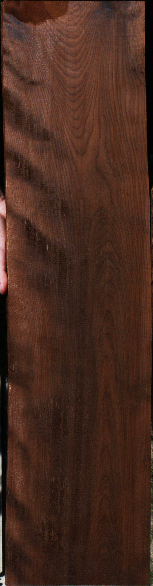 Curly Caramelized Birch Lumber