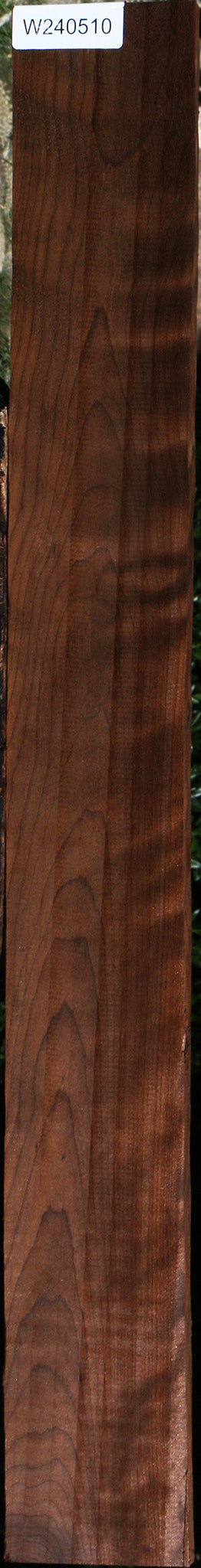 Curly Caramelized Birch Lumber