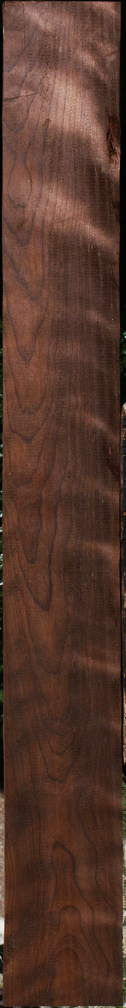 Curly Caramelized Birch Lumber