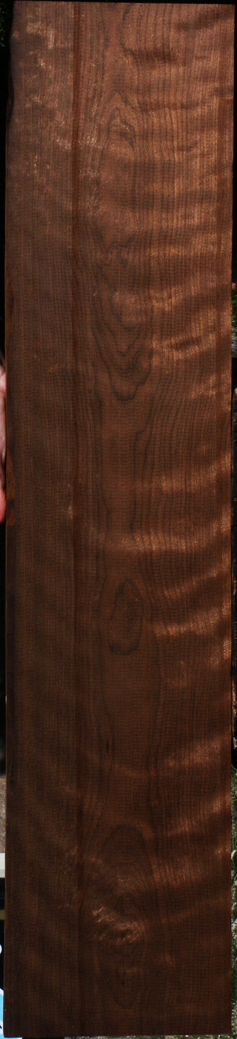 Extra Fancy Curly Caramelized Birch Lumber