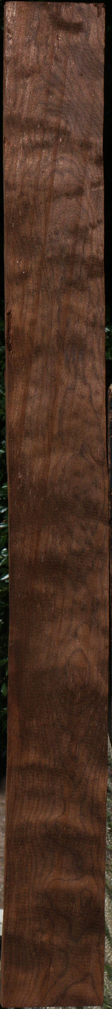 Curly Caramelized Birch Lumber