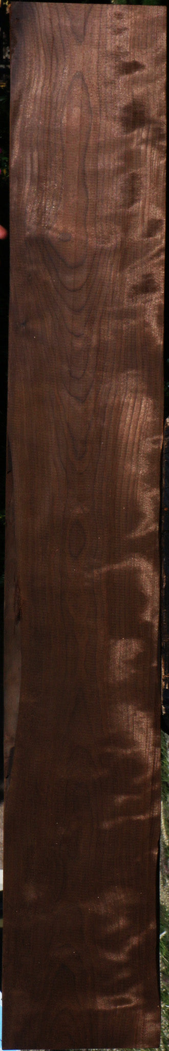 Curly Caramelized Birch Lumber