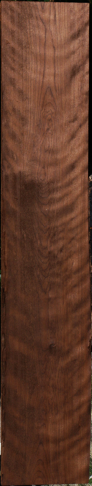 Extra Fancy Curly Caramelized Birch Lumber