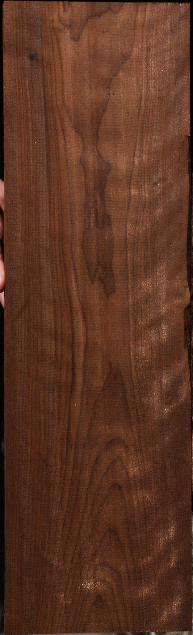 Curly Caramelized Birch Lumber