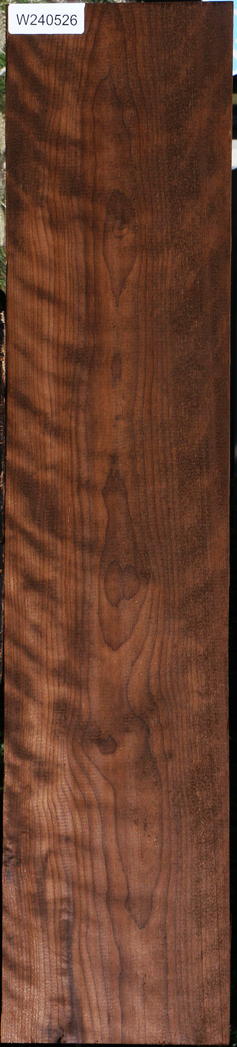 Extra Fancy Curly Caramelized Birch Lumber