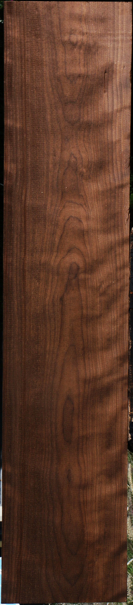 Extra Fancy Curly Caramelized Birch Lumber