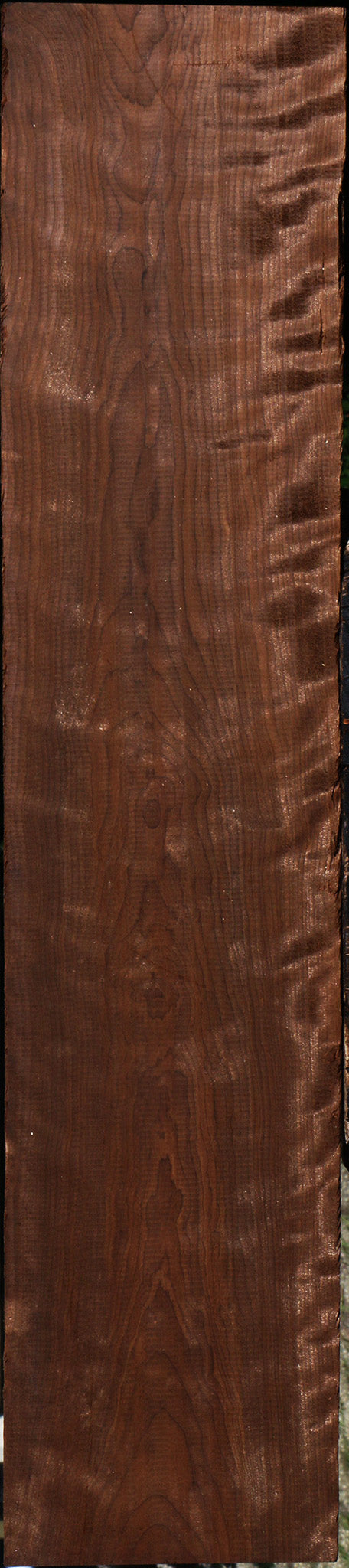 Extra Fancy Curly Caramelized Birch Lumber