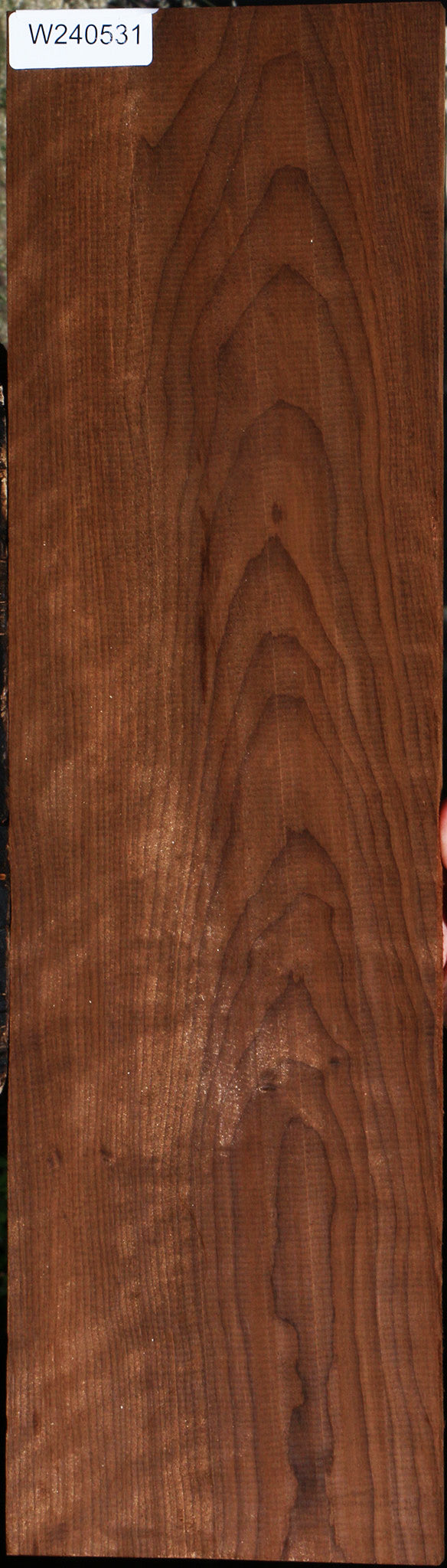 Curly Caramelized Birch Lumber