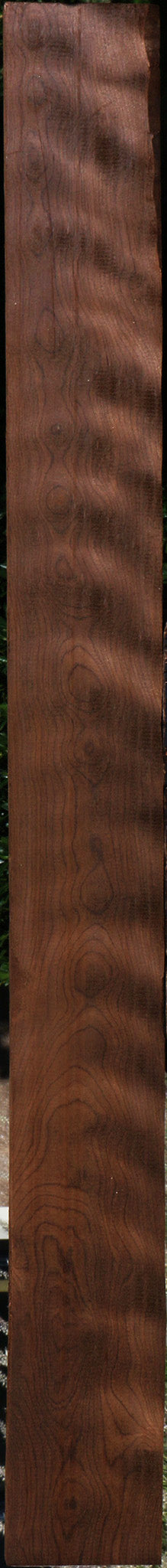 Extra Fancy Curly Caramelized Birch Lumber