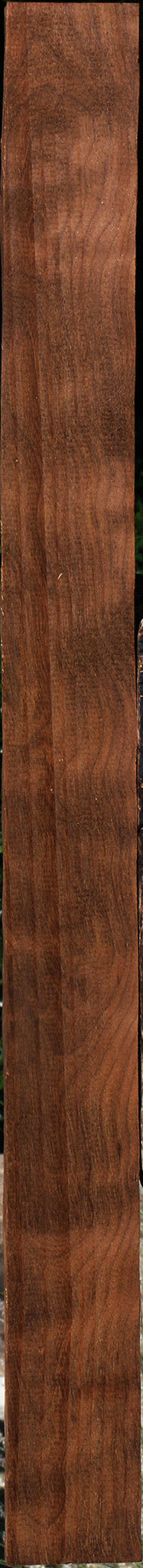 Curly Caramelized Birch Lumber