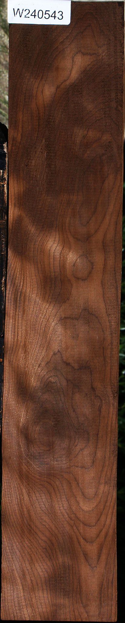 Curly Caramelized Birch Lumber