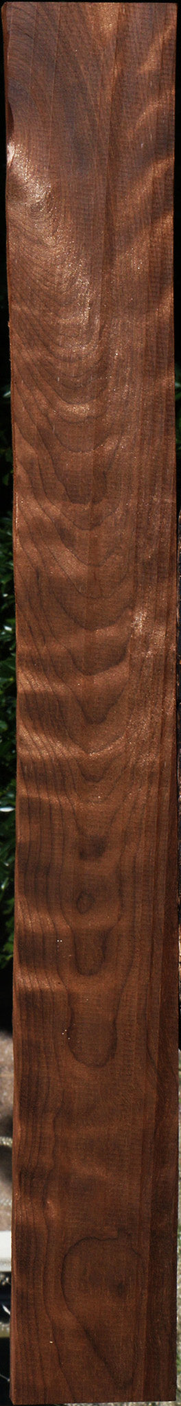 Extra Fancy Curly Caramelized Birch Lumber