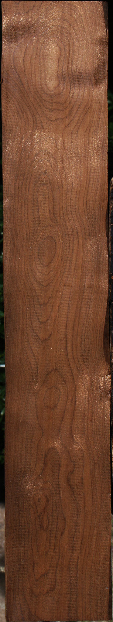 Caramelized Birch Lumber