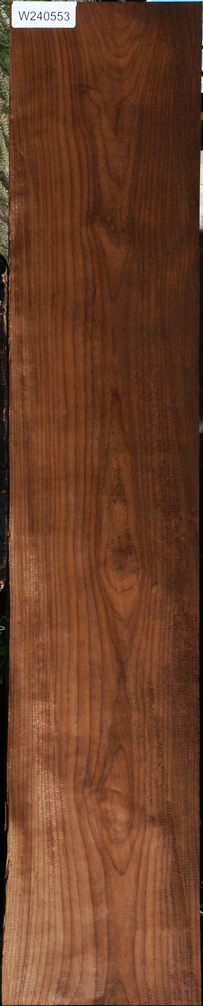 Curly Caramelized Birch Lumber