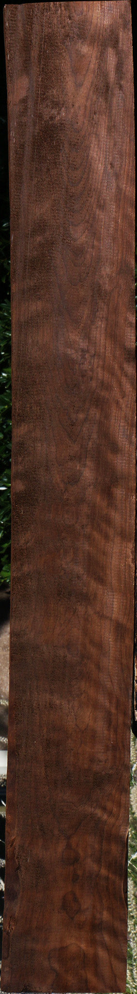 Extra Fancy Curly Caramelized Birch Lumber