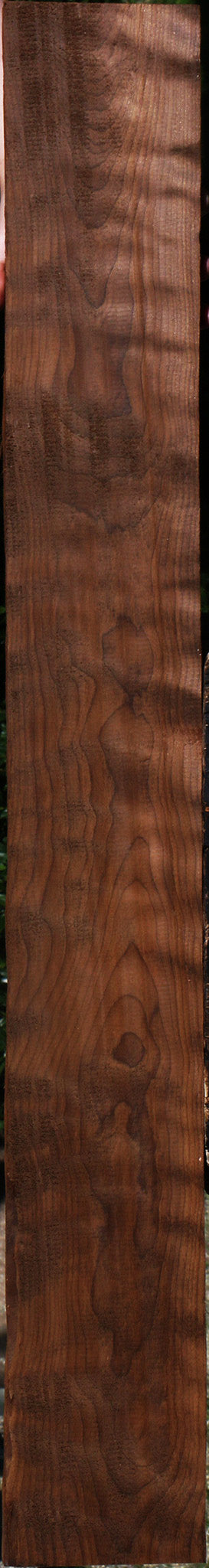 Extra Fancy Curly Caramelized Birch Lumber