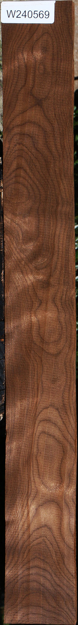 Caramelized Birch Lumber