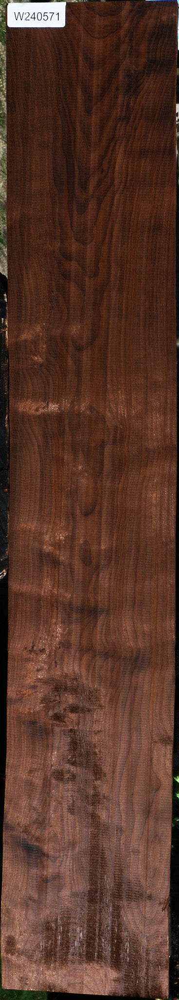 Curly Caramelized Birch Lumber