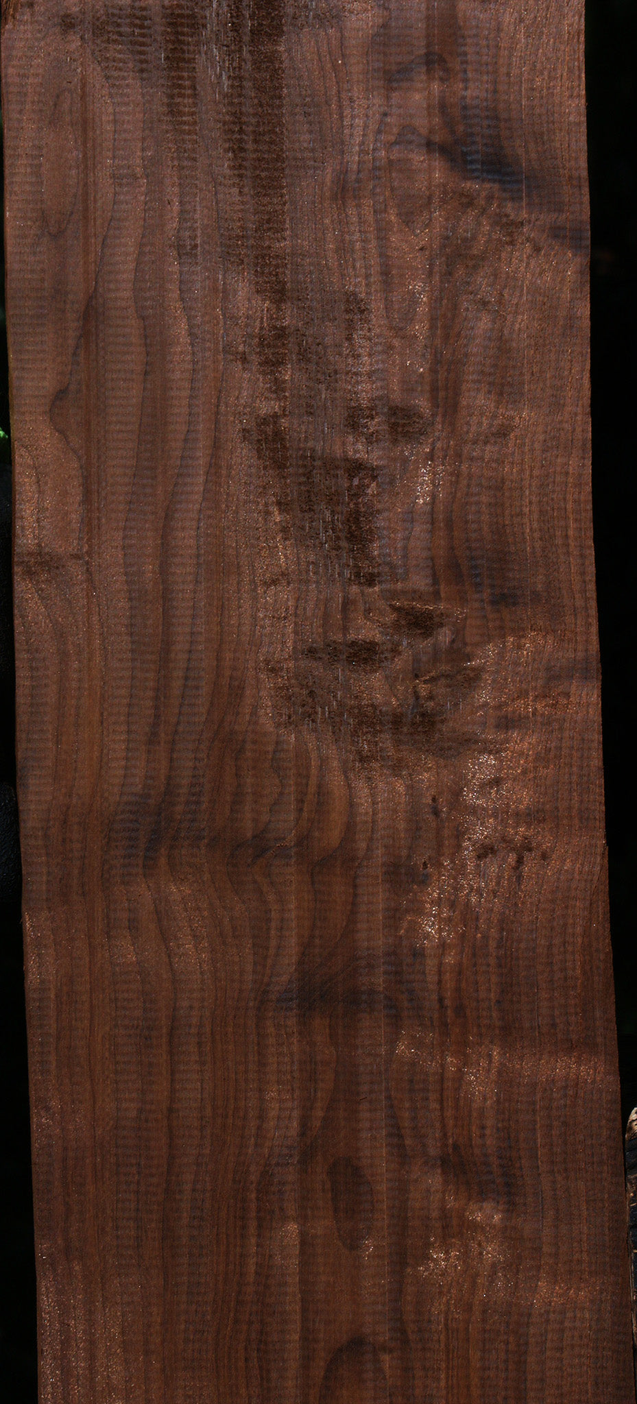 Curly Caramelized Birch Lumber