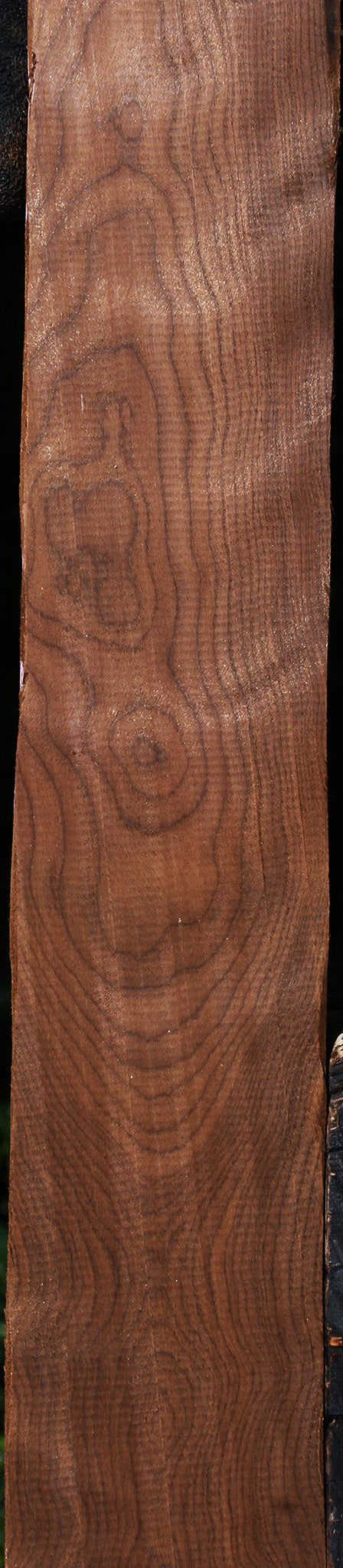 Curly Caramelized Birch Lumber