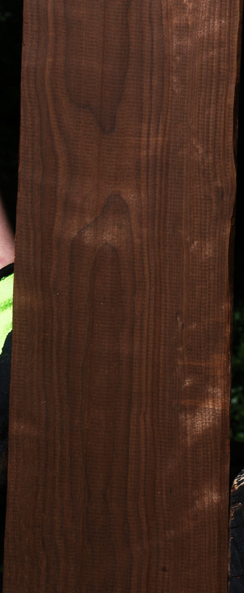 Curly Caramelized Birch Lumber